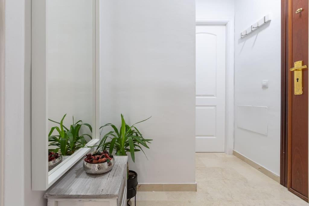 Apartamento Suite Centrico Málaga Exteriör bild